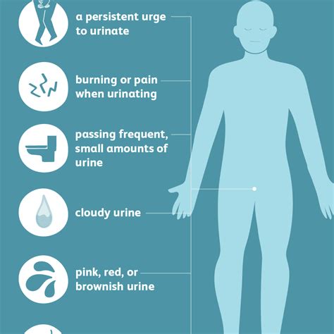 Can Bladder Infection Cause Fatigue