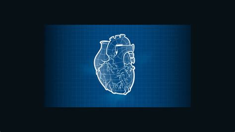 Lungs On A Chip 3 D Printed Hearts The Shape Of Medicine To Come Cnn