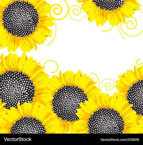 Sunflower Border Royalty Free Vector Image Vectorstock