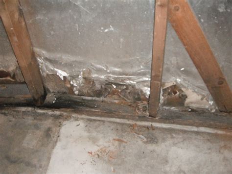 Rotted Garage Wall And Sill Plate Forest Park Home Inspection