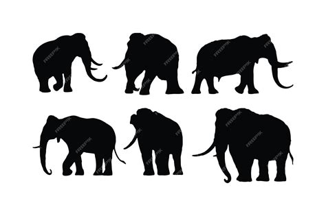 Gran Colección De Siluetas De Elefantes Caminando Sobre Un Fondo Blanco