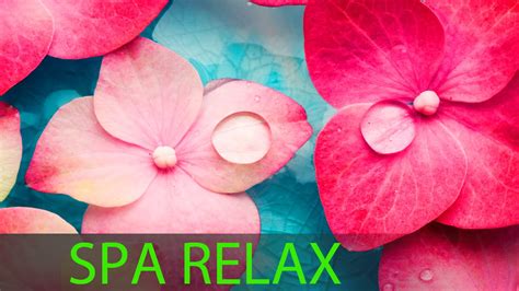 6 Hour Super Relaxing Spa Music Meditation Music Massage Music