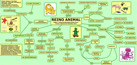 Mapa Mental Reino Animal Edulearn
