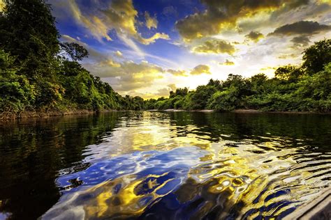 Dramatic Landscape On A River In The Amazon State Venezuela Tommy Ooi