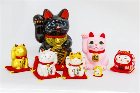 Lucky Cat Writing Meaning Cat Meme Stock Pictures And Photos