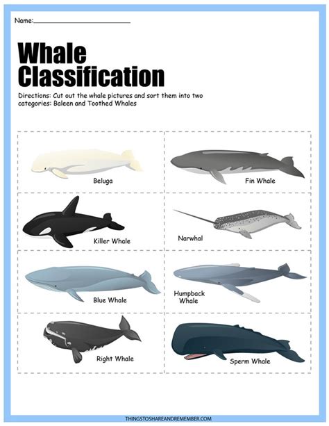 Printable Whale Facts For Kids