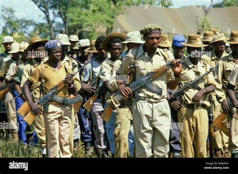 Zimbabwe Zanu Patriotic Front Troops Loyal To Robert Mugabe Come In