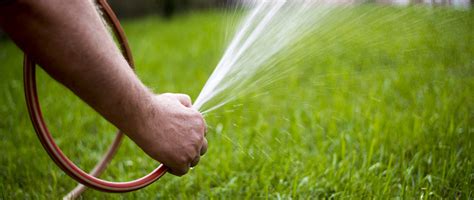 Watering Guide Tips To Keep Your Lawn Perfectly Hydrated A Lawn