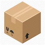 Carton Icon Icons Pack Box Vector Shipping