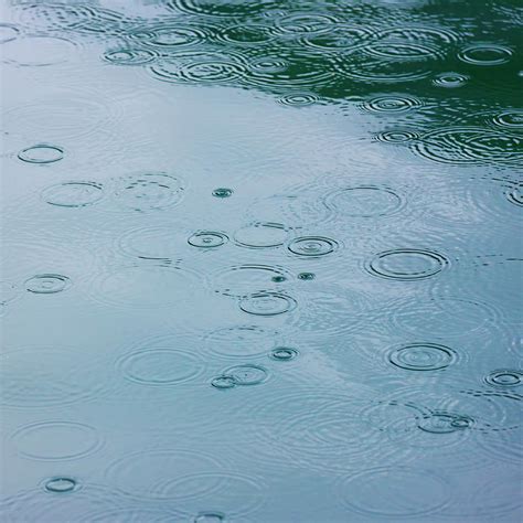 Rain Drops And Water Ripples By Arctic Images