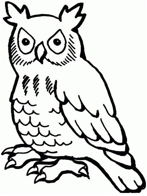 Owl For Kids Coloring Page Download Print Or Color Online For Free