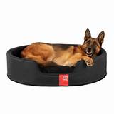 Pictures of Rubber Beds For Dogs