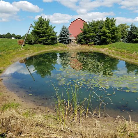 Barn And A Pond Smithsonian Photo Contest Smithsonian Magazine
