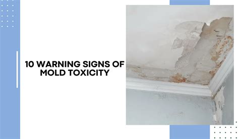 10 Warning Signs Of Mold Toxicity To Watch Out For Oicanadian