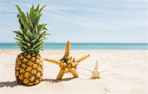 Wallpaper Sand Sea Beach Summer Stay Star Summer Pineapple