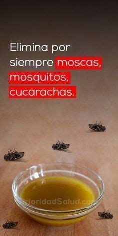 Evita la presencia de cucarachas, arañas y otros insectos rastreros, gracias a la protección duradera de nuestros productos insecticidas. Cómo matar las moscas, mosquitos y cucarachas de tu casa ...