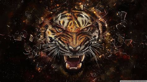 Roaring Tiger Ultra Hd 4k Wallpaper Tiger Wallpaper