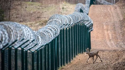 Fenced In How The Global Rise Of Border Walls Is Stifling Wildlife