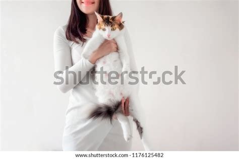 Cat Pregnancy Pregnant Calico Cat Big Stock Photo 1176125482 Shutterstock