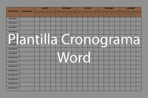 Plantilla Cronograma Word Actualizado February 2024