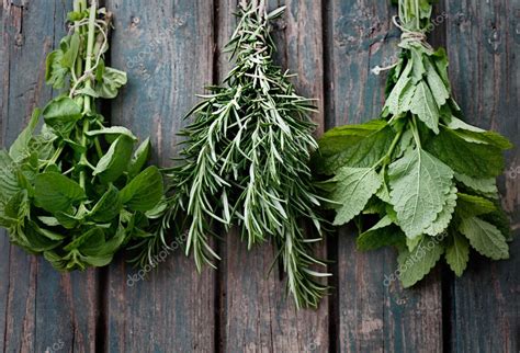 Fresh Herbs — Stock Photo © Mythja 26282089