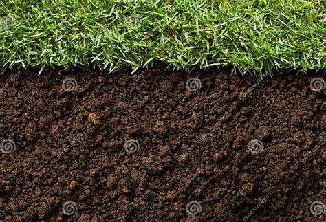 Grass And Dirt Stock Image Image Of View Closeup Turf 36930155
