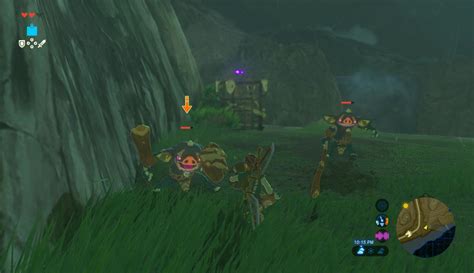 The Priceless Maracas Zelda Dungeon