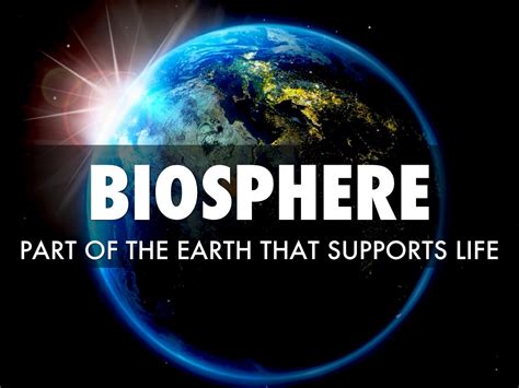 Biosphere By Tan0822