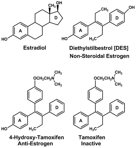 Synthetic Estrogens The Role Of An Aromatic A Ring With A C3 Alcohol