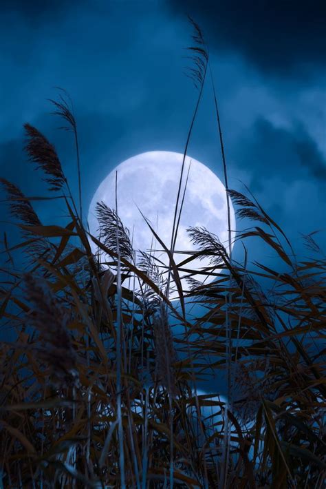 Mystic Moon By Gabriele Hartmann On 500px Mondfotografie