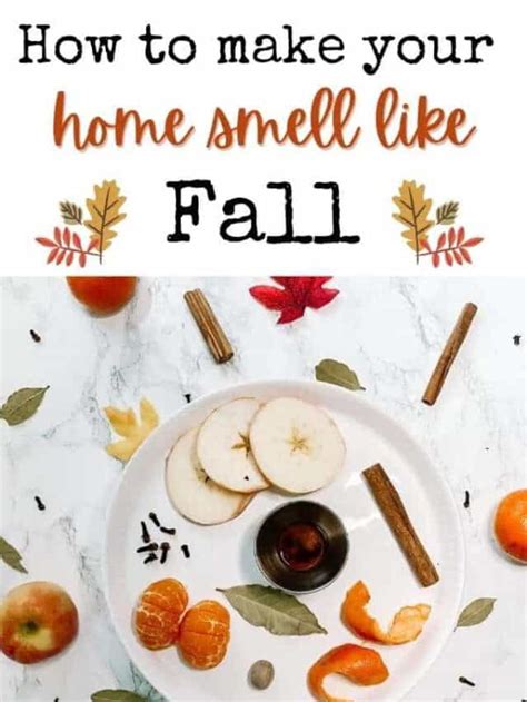 Make Your Home Smell Like Fall Diy With My Guy