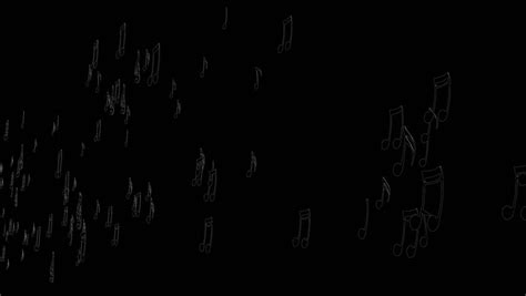 Animated Flying Black Music Notes On White Background Upward Each