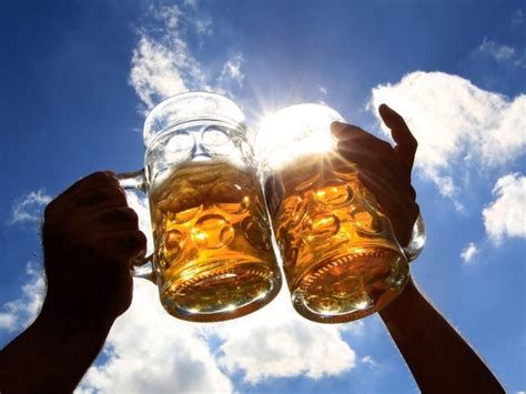 10 Scientific Reasons Why Drinking Beer Is Healthy For You Others