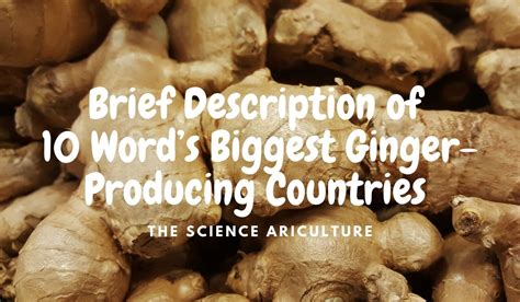 10 Words Biggest Ginger Producing Countries The Science Agriculture