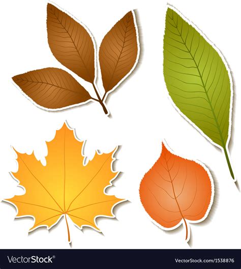 Autumn Leaf Sticker Set Royalty Free Vector Image