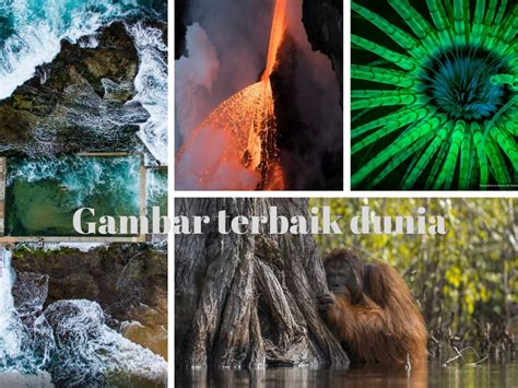 Bersepeda adalah kegiatan yang sangat populer di beberapa negara, bahkan menjadi salah satu alat transportasi paling populer. Gambar Terbaik Dunia Di National Geographic Nature Photographer Of The Year 2017 - REMAJA