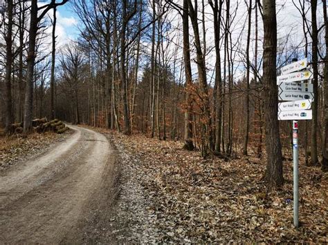 Wir Am Weg Community Trail Traumrunde Markt Einersheim Und Iphofen