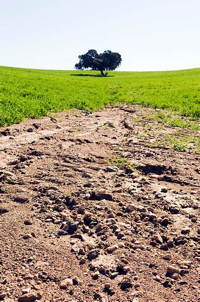 Royalty Free Soil Erosion Pictures Images And Stock Photos Istock