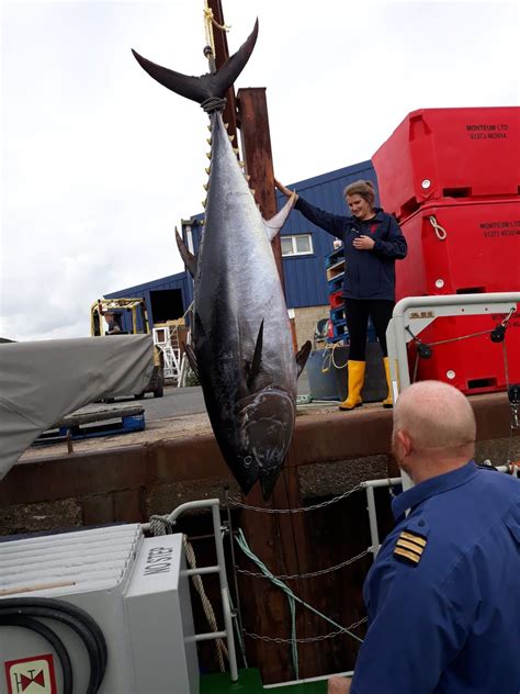 180kg Bluefin Tuna in Chichester Harbour, Sussex - Anglers ...