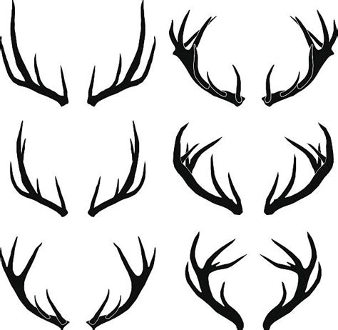 Deer Horns Drawing Reference Antler Illustrations Royalty Free Vector