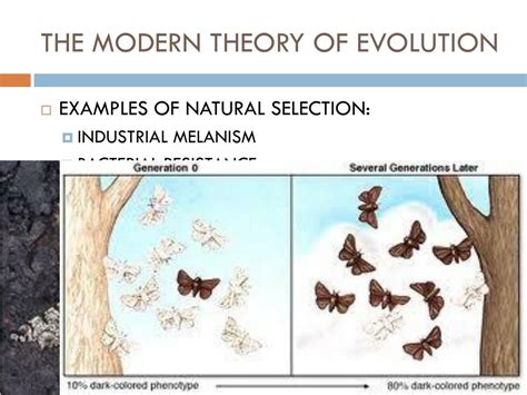 Ppt The Modern Theory Of Evolution Powerpoint Presentation Free