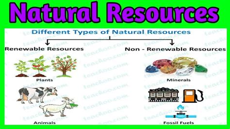 Natural Resources Types Of Natural Resources Renewable Resources