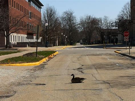 (potential cs student) can anyone tell me more about aoe? : UIUC