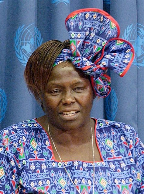Wangari Maathai Biography Nobel Peace Prize Books Green Belt