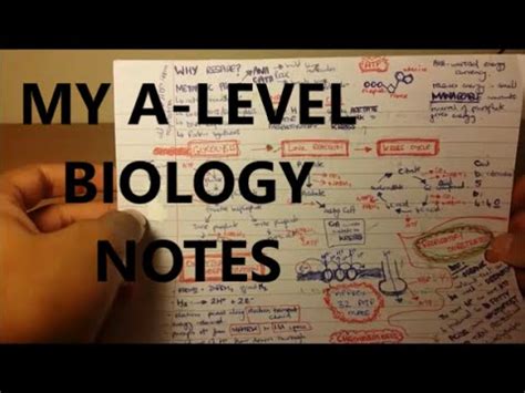 The syllabus includes the main theoretical concepts which are fundamental to the subject, some current applications of biology, and a strong removed and added topics, and moved some content from cambridge international as to a level and vice versa; My Biology Notes - A Level | GCSE - YouTube