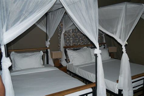 Into Wild Africa Luxury Tented Camp Serengeti Join Up Safaris