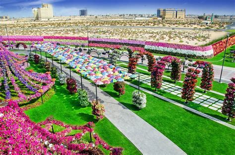 Photos Of The Wonderfully Bizarre Dubai Miracle Garden That Is Built On A Desert Viralscape