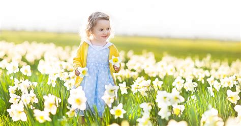 Parque virrey is known as a great place to buy flow. Learn how to say "flower" in French - Extra activities ...