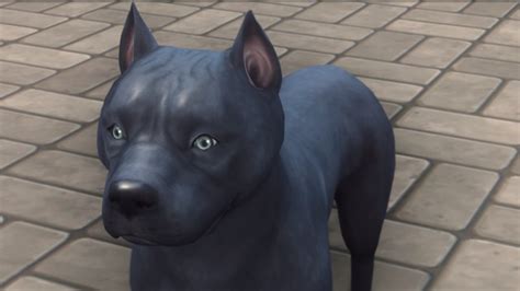 Питбули Pitbulls By Ouijasim Собаки Sims 4 Питомцы для Sims 4