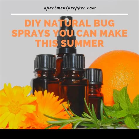 Diy Natural Bug Sprays You Can Make This Summer Apartment Prepper